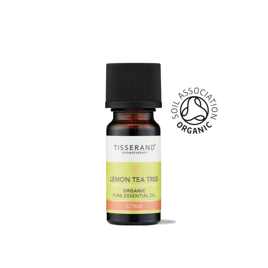 Lemon Tea Tree Essential Oil ((Leptospermum petersonii)